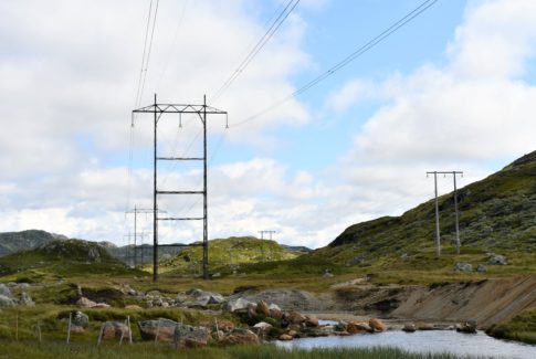 mast nett suleskardveien