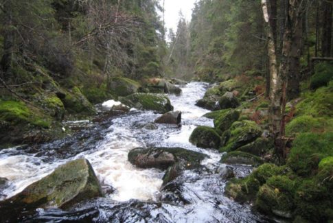 skuåna