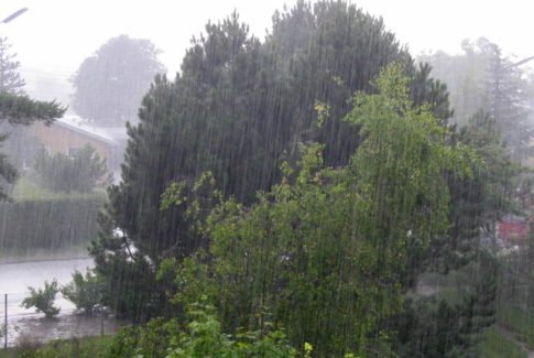regn