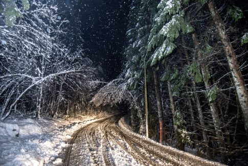snø