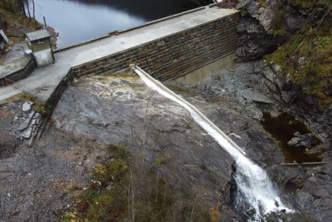 damkrona
