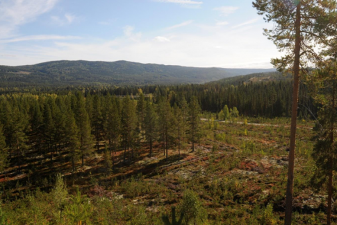 furuseth solkraftverk