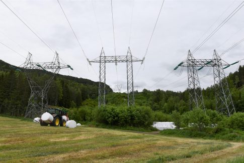 mast jorde