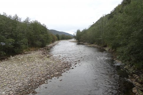 Litjbøvra,