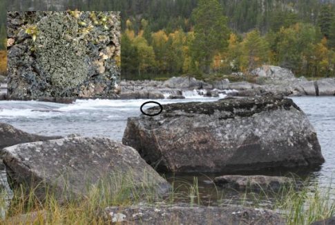godfarfoss lav