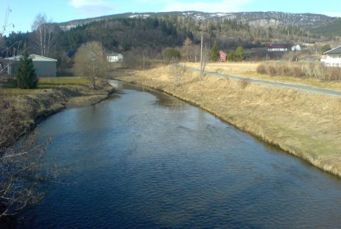 gråelva