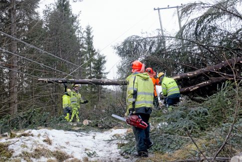 bkk linjearbeid trefall storm tre uvær