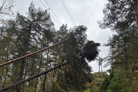 agder tre fall uvær feilretting storm