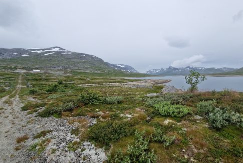 reinsvatn
