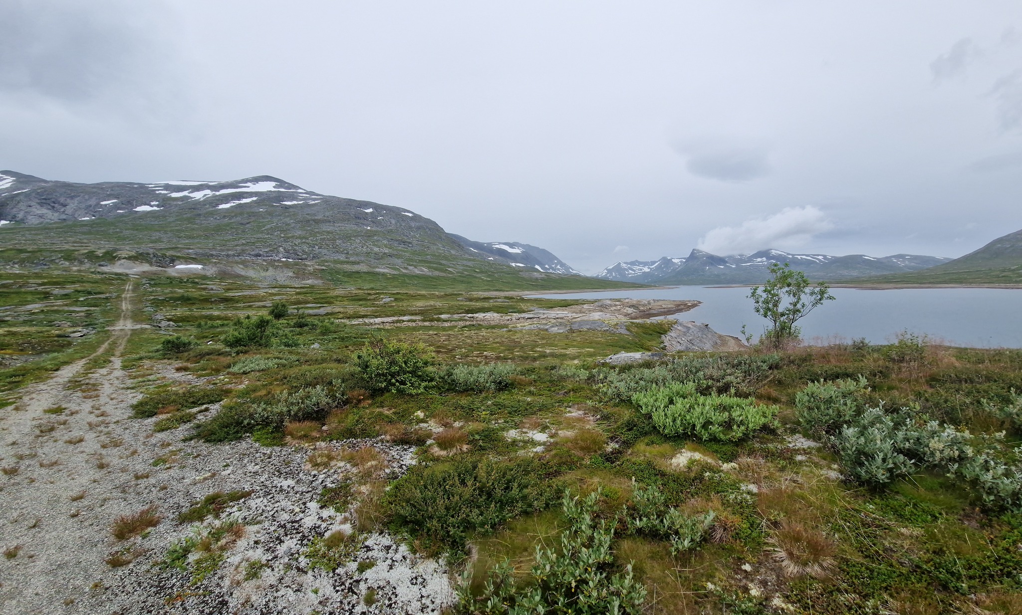 reinsvatn