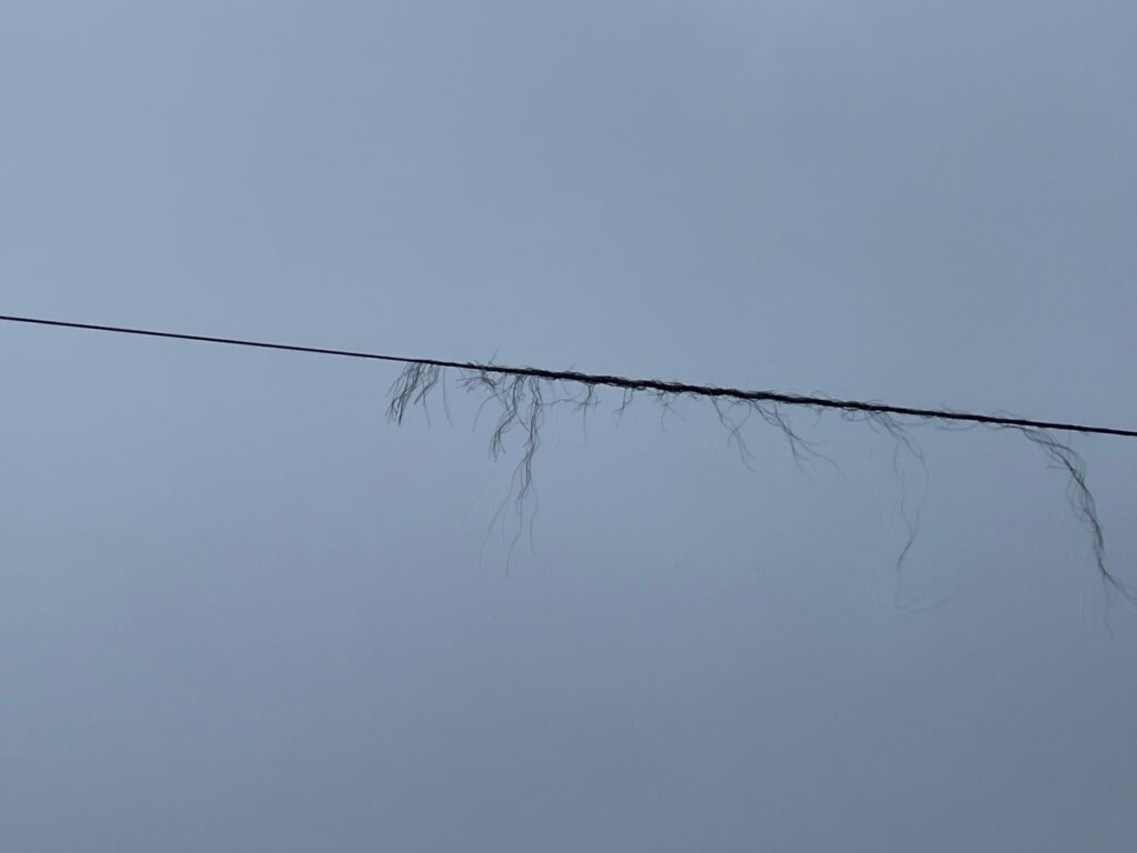 ødelagt line
