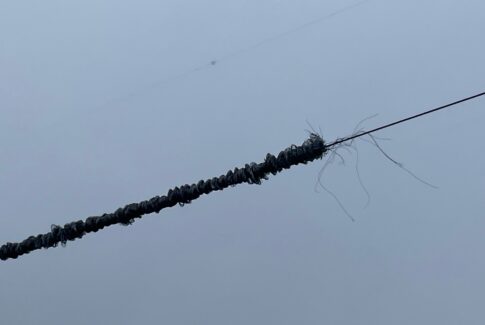 line skadet sognefjorden