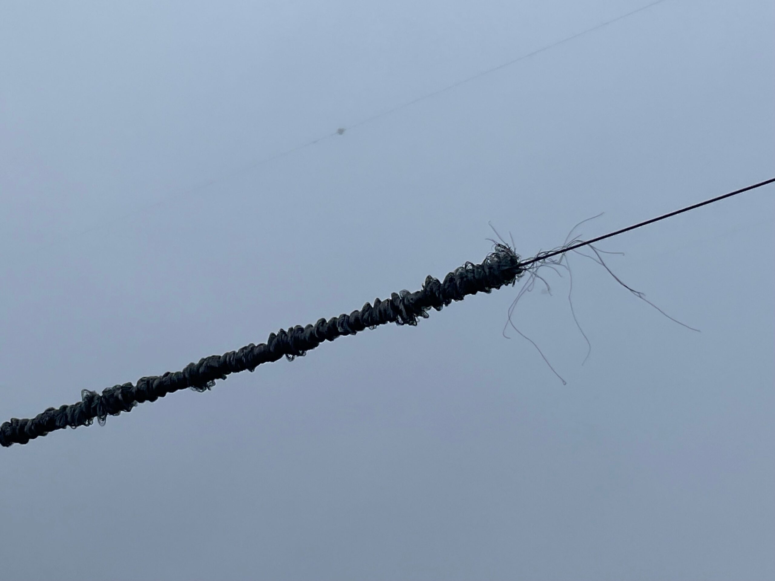 line skadet sognefjorden