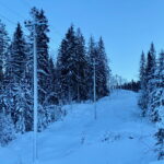 Januarkulda